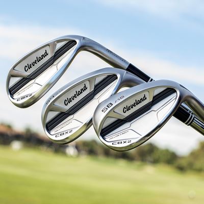 cbx2 wedges 1