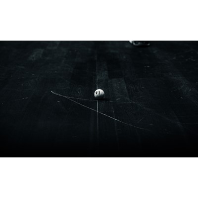 Dunlop Official WSF ball