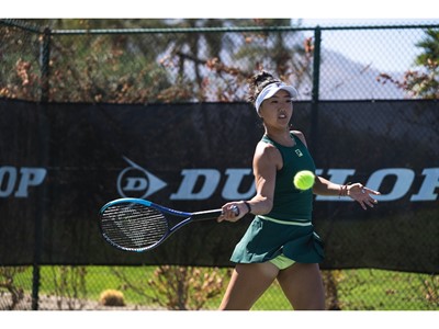 a l i w 2025dw300103