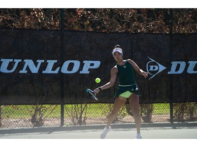 a l i w 2025dw300184