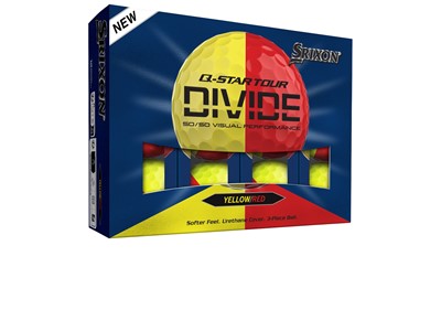 qst6 divide p y r flip