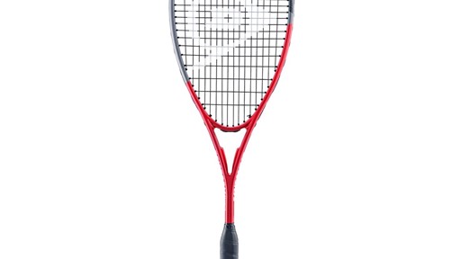 10365487 ds25 tristormgraphite 1