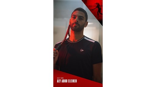 Aly Abou Eleinen