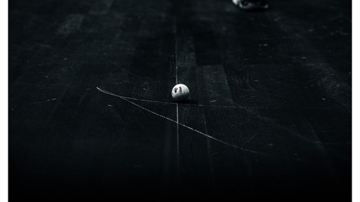 Dunlop Official WSF ball