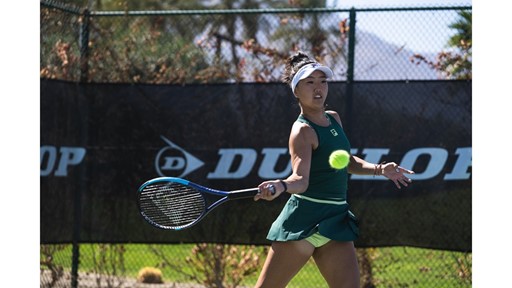 a l i w 2025dw300103