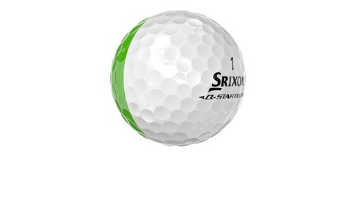 qst6 divide w l g back money