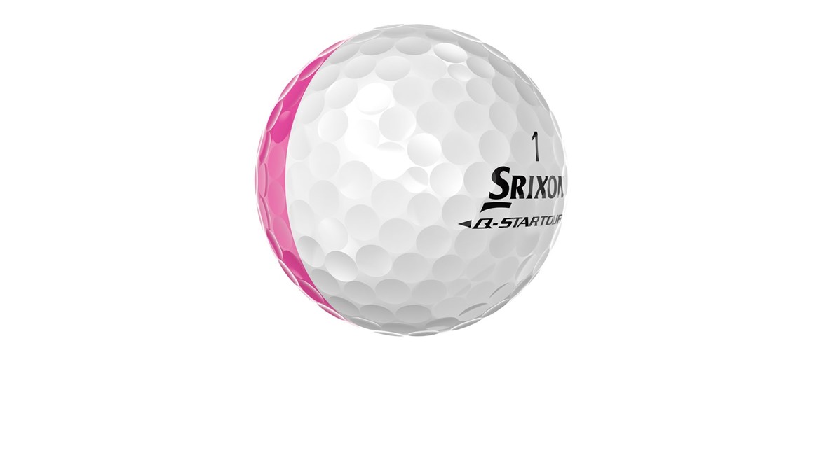 qst6 divide w p back money