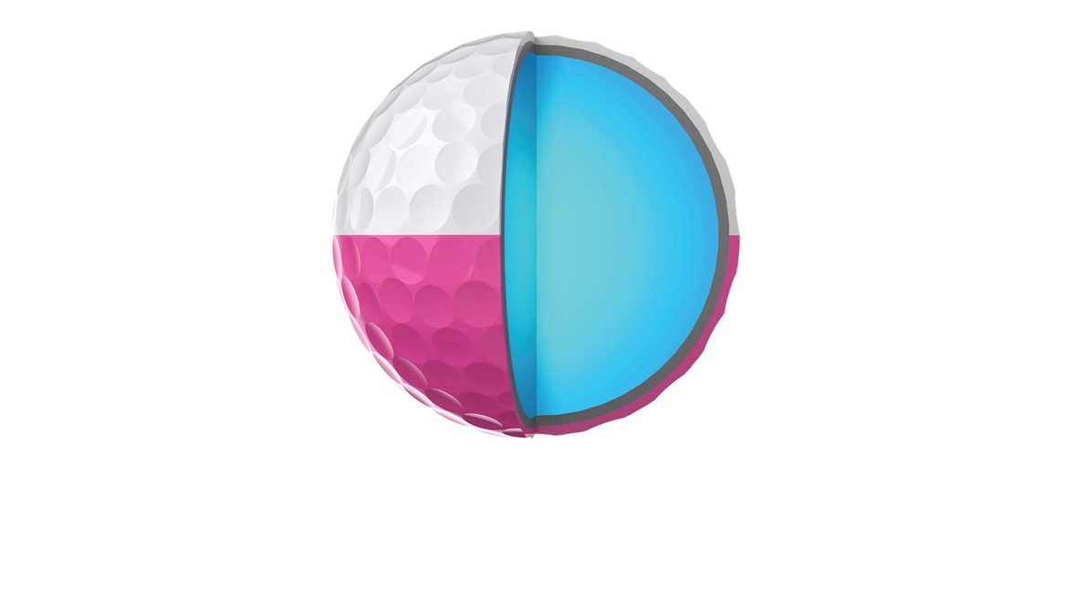 qst6 divide w p quarter 1