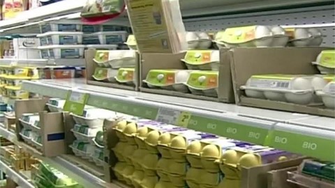 meps-discuss-how-to-tackle-contaminated-eggs-scandal