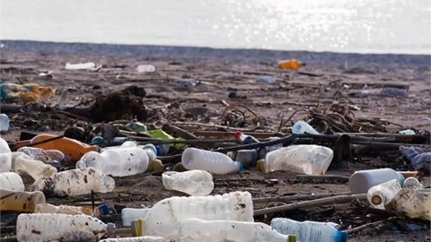 new-eu-rules-on-single-use-plastics-to-help-reduce-pollution