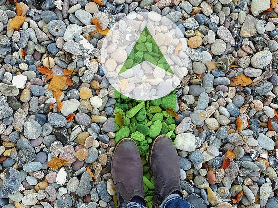 Company News: General