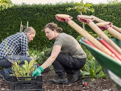 Citizenship: Giving Back