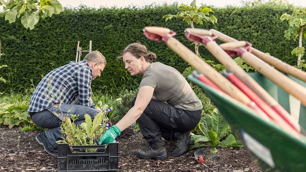 Citizenship: Giving Back