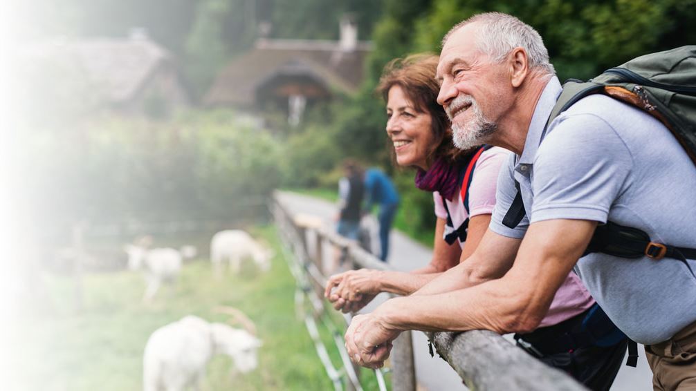 Retirement Savings Assessment