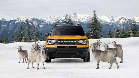 -raised-by-goats---the--almost--true-story-behind-the-power--immense-capability-of-all-new-ford-bron
