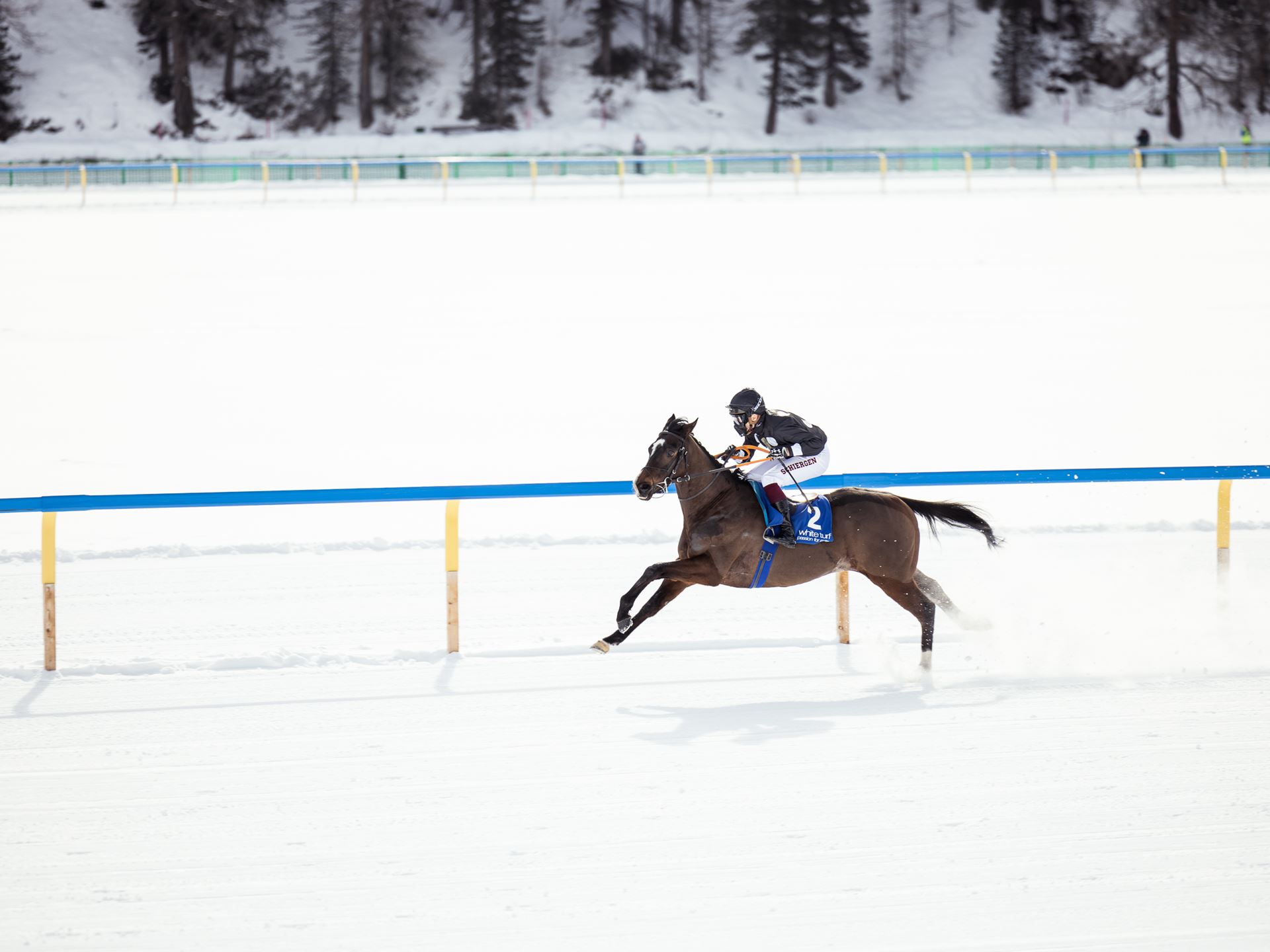GENESIS WHITE TURF ST. MORITZ