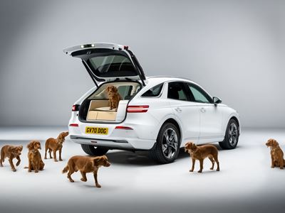 GENESIS X DOG