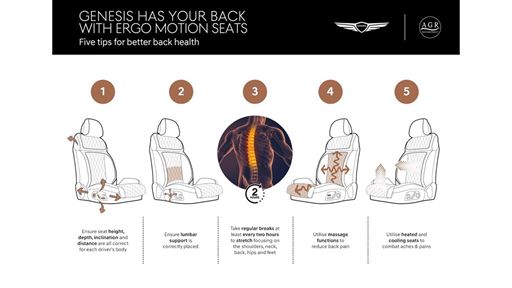GENESIS BACK PAIN
