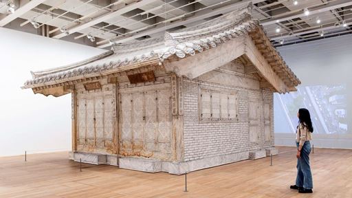 DO HO SUH WALK THE HOUSE