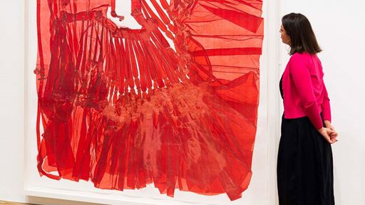 DO HO SUH WALK THE HOUSE