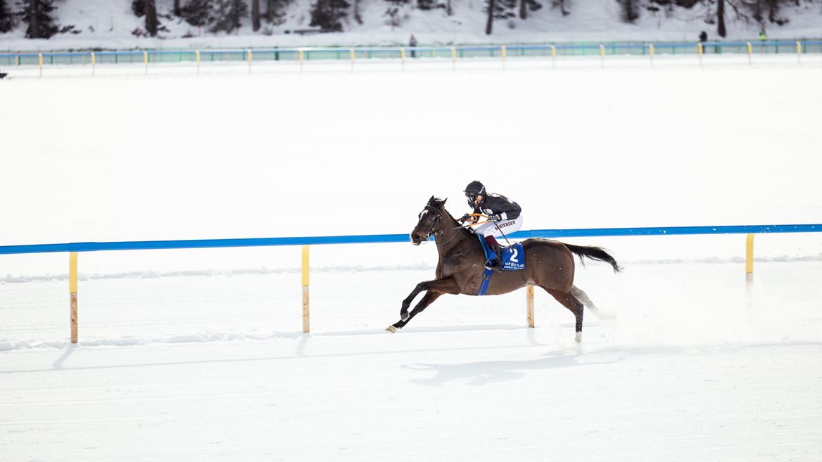 GENESIS WHITE TURF ST. MORITZ