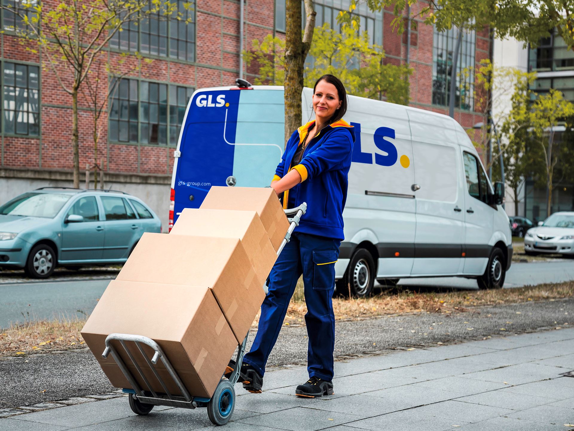 GLS Zustellfahrerin Van (1)