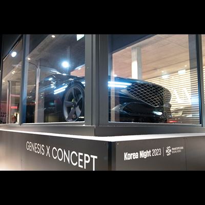 X CONCEPT