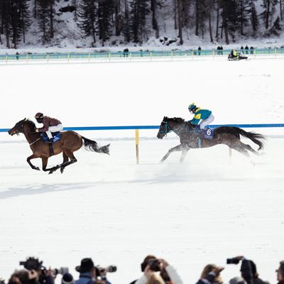 WHITE TURF