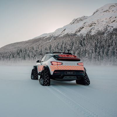 WHITE TURF