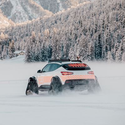 WHITE TURF