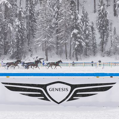 GENESIS WHITE TURF RACING