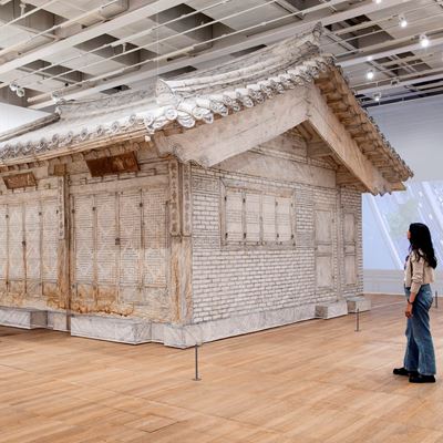 DO HO SUH WALK THE HOUSE