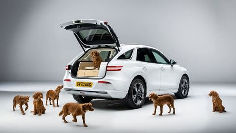 GENESIS X DOG