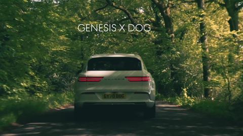 x-dog-film