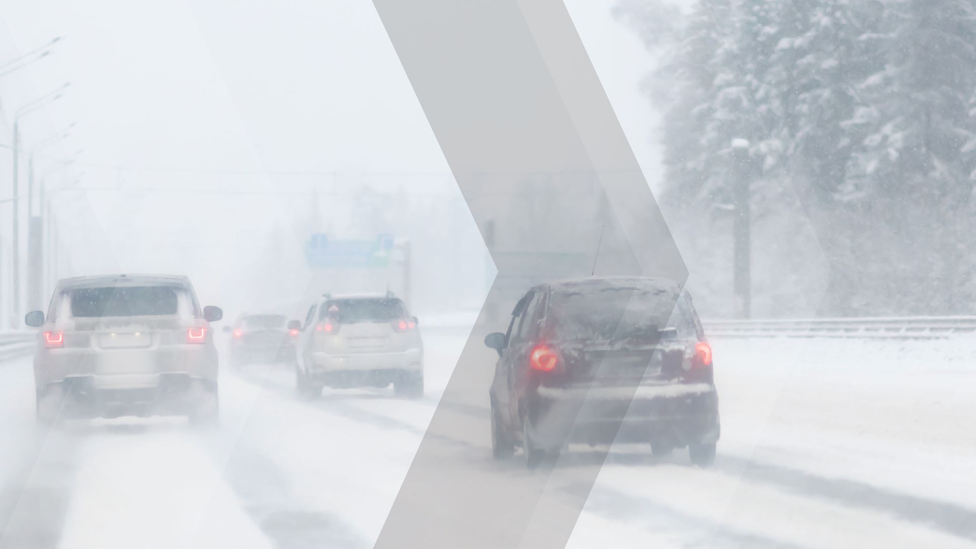 Green NCAP tests reveal the real world trade offs of electric and combustion cars