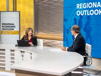 IMF / Middle East and Central Asia October 2021 Regional Economic Outlook