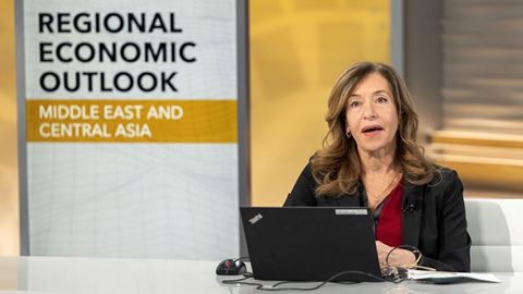 IMF / Middle East and Central Asia October 2021 Regional Economic Outlook