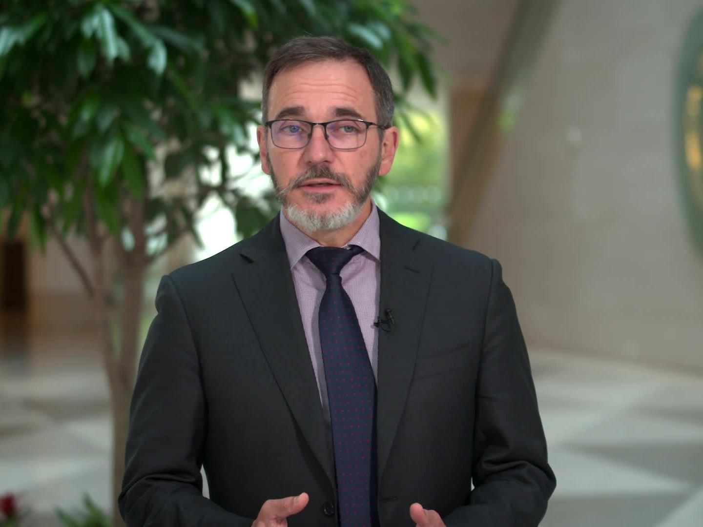 imf---world-economic-outlook-july-2025