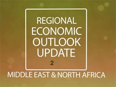 Middle East and North Africa 2017 Economic Outlook Update
