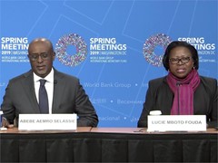 IMF African Economies
