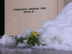 IMF 2022 Winter B-Roll