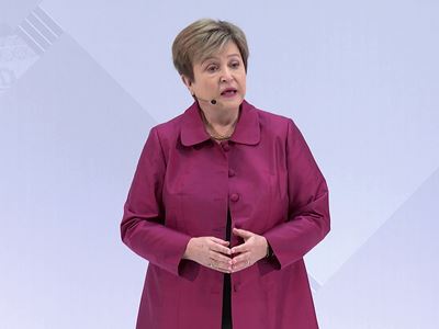 imf-spring-meeting-curtain-raiser