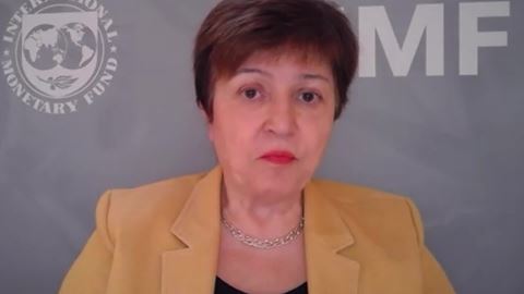 IMF / Euro Area 2020 Article IV Consultation