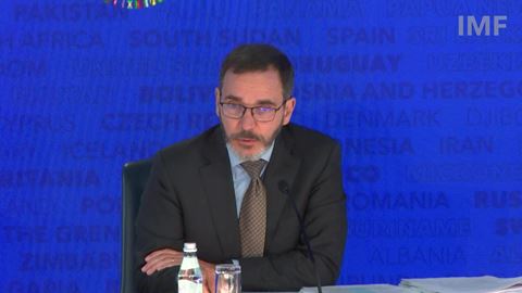 imf-weo-presser-2024