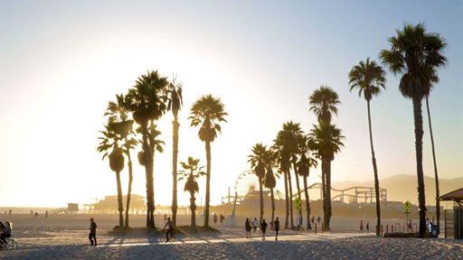 LA28 unveils Impact and Sustainability Plan charting a uniquely Californian legacy for the Games