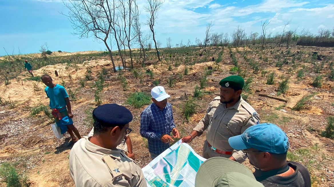 Olympic Forest Network expands as India launches eco−restoration project - Vimarsana News