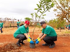 Iveco Group promove ação de plantio de mudas com crianças e colaboradores em celebração ao Dia da Árvore