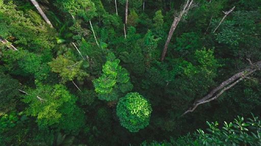 Environment Sustainability