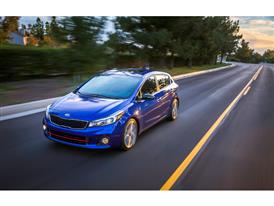 11069 2017 Forte5 11069 2017 Forte5