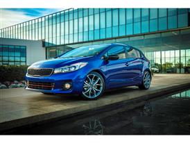 11063 2017 Forte5 11063 2017 Forte5